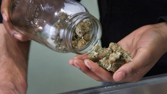 In this Feb. 20, 2015, file photo, Alaska Cannabis Club CEO Charlo Greene prepares to roll a joint at the medical marijuana dispensary in Anchorage.