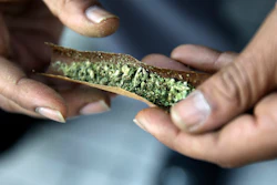 In this March 21, 2015, file photo, a man rolls a marijuana cigarette near the statehouse in Trenton, N.J.