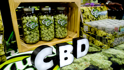 In this Aug. 31, 2018, file photo, CBD buds of chocolate by Chronic Candy are displayed at the Big Industry Show at the Los Angeles Convention Center.