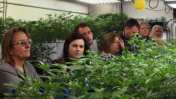 In this Jan. 31, 2017 photo, agriculture regulators from seven different states and Guam tour a Denver marijuana growing warehouse on a tour organized by the Colorado Department of Agriculture in Denver. The governor of Guam has signed into law recreational use of marijuana on the U.S. island territory. The Pacific Daily News reports Gov. Lou Leon Guerrero signed the bill Thursday, April 4, 2019, a week after the Legislature narrowly passed legislation that allows people ages 21 and older to possess up to an ounce. People won't be able to legally purchase marijuana until regulations are developed by the new Cannabis Control Board and approved by the Legislature.