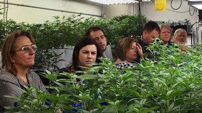In this Jan. 31, 2017 photo, agriculture regulators from seven different states and Guam tour a Denver marijuana growing warehouse on a tour organized by the Colorado Department of Agriculture in Denver. The governor of Guam has signed into law recreational use of marijuana on the U.S. island territory. The Pacific Daily News reports Gov. Lou Leon Guerrero signed the bill Thursday, April 4, 2019, a week after the Legislature narrowly passed legislation that allows people ages 21 and older to possess up to an ounce. People won't be able to legally purchase marijuana until regulations are developed by the new Cannabis Control Board and approved by the Legislature.