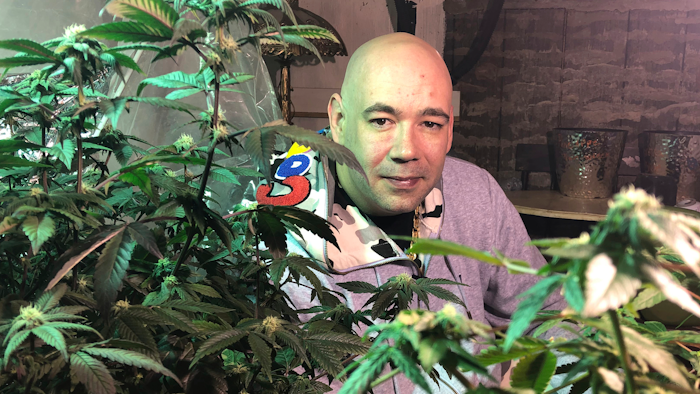 In this April 8, 2019, photo, Bernie Barriere poses for a photo as he tends to two marijuana plants he legally grows in a basement in Bennington, Vt.
