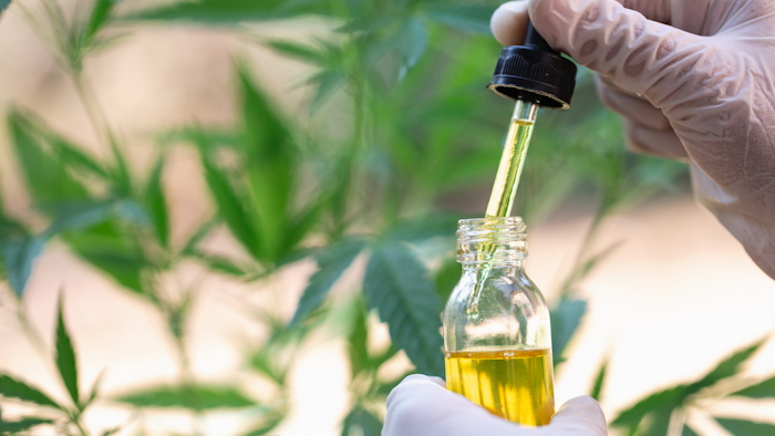 Cbd Oile