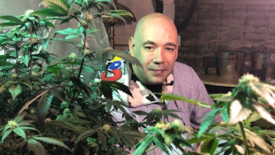 In this April 8, 2019, photo, Bernie Barriere poses for a photo as he tends to two marijuana plants he legally grows in a basement in Bennington, Vt.