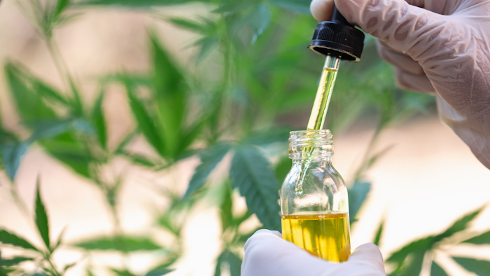 Cbd Oile