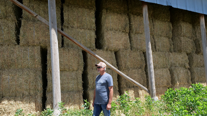 In this Wednesday, June 26, 2019, photo, Russell Jones looks at alfalfa on his farm, in Nephi, Utah. Next month, the wide metal barn on the Utah alfalfa farm owned by Russell and Diane Jones will host their youngest son's wedding; but by September, they hope the structure will be full of marijuana plants. The Joneses are fourth-generation farmers, members of The Church of Jesus Christ of Latter-day Saints, and among 81 applicants vying for one of a handful of coveted spots as state-licensed medical growers in conservative Utah.