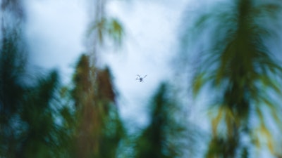 There's a trend among cannabis growers to use aerial drones for security purposes.