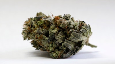 This April 22, 2016, file photo shows a marijuana bud at a medical marijuana facility in Unity, Maine. Maine marijuana enthusiasts will probably be able to purchase their preferred products in retail stores by March 2020 after years of waiting. Voters approved legal adult use marijuana at the polls in November 2016, and the road to legal sales has been long and bumpy. The state's Office of Marijuana Policy says a key act passed by the Legislature is now in effect, and that means the office is in a position to complete final adoption of Maine's marijuana rules.