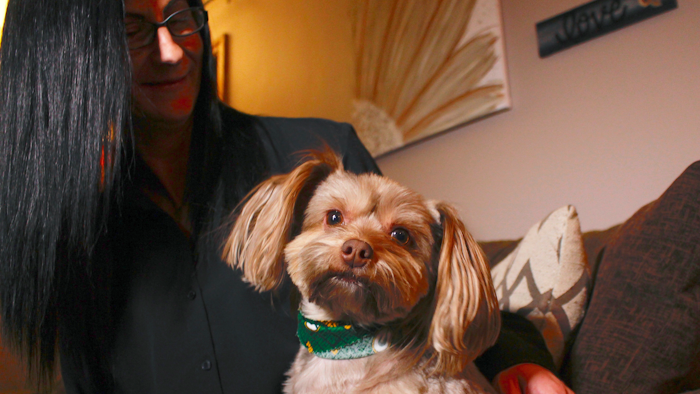 Amy Carter and her Yorkshire terrier-Chihuahua mix Bentley, who has epilepsy, Nov. 5, 2019, in St. Francis, Wis.