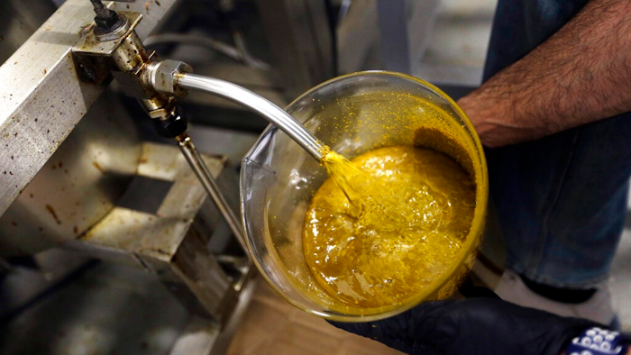 In this April 24, 2018, file photo, the first rendering from hemp plants extracted from a super critical CO2 extraction device on its' way to becoming fully refined CBD oil spurts into a large beaker at New Earth Biosciences in Salem, Ore. Sens. Ron Wyden and Jeff Merkley on Tuesday, Jan. 15, 2019, urged the head of the U.S. Food and Drug Administration to update federal regulations to permit interstate commerce of food products containing a key non-psychoactive ingredient of cannabis.