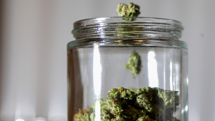 Marijuana buds sorted into a prescription jar at Compassionate Care Foundation's medical marijuana dispensary, Egg Harbor Township, N.J., March 22, 2019.