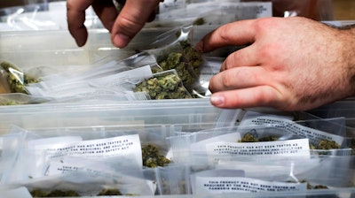 In this Jan. 6, 2018, file photo, an employee stocks cannabis at a store shortly before its first day of recreational marijuana sales in San Francisco.