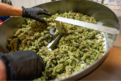 GreenBroz automated trimming machine.