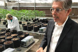 Ultra Health President and CEO Duke Rodriguez during a tour of the company's greenhouse, Bernalillo, N.M., April 6, 2018.