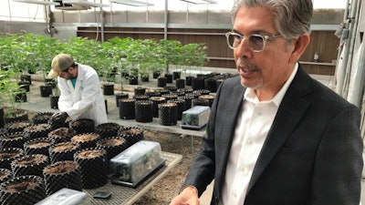 Ultra Health President and CEO Duke Rodriguez during a tour of the company's greenhouse, Bernalillo, N.M., April 6, 2018.