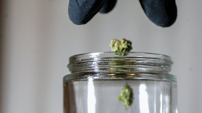 Marijuana buds are sorted into a jar at Compassionate Care Foundation's medical marijuana dispensary, Egg Harbor Township, N.J., March 22, 2019.