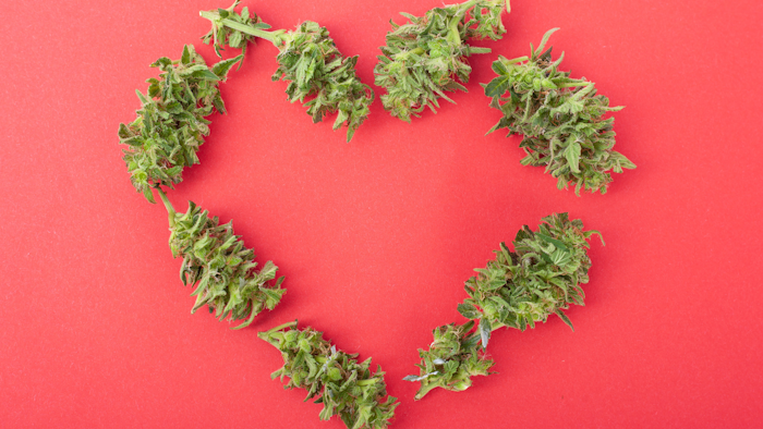 Akerna Cannabis