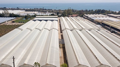 In 2020, Glass House Group had its first full-capacity harvest at Padaro, the company’s second farm site. The first was opened in San Bernardino in 2019.