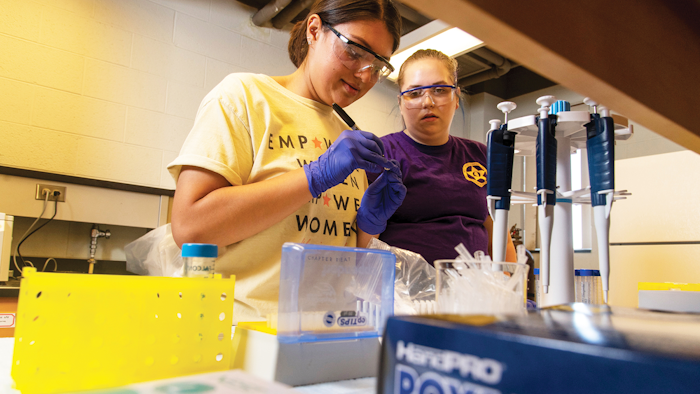 WIU chemistry students Gabrielle Valenzuela, of Oswego, Ill., and Shelby Carlson, of Daveport, Iiowa, work on testing in a Currens Hall laboratory at WIU.