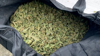 A bag of marijuana is displayed during a police raid as part of Operation Trojan.
