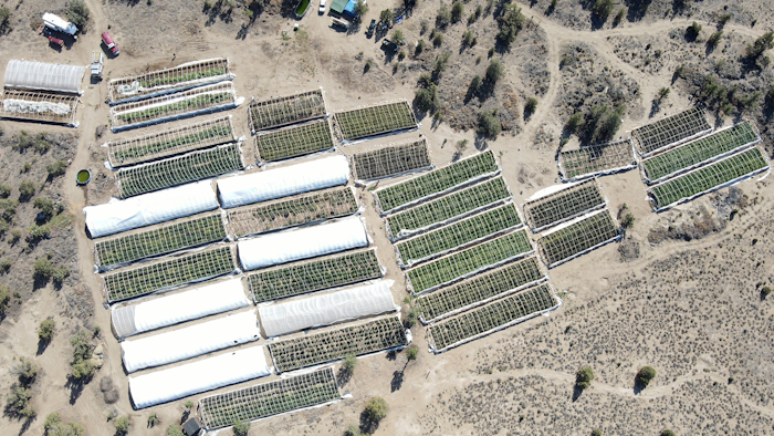 Aerial photo of a marijuana grow raided by law enforcement, Alfalfa, Ore., Sept. 2, 2021.