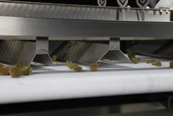 Adding sorting to the production line makes it quick and painless to get different sizes and grades of material to the next processing station. If you are adding new SKUs in the coming year, sorting could significantly ramp up efficiency.