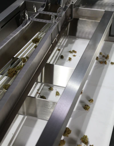 Mechanized sorting enhances quality by minimizing the amount of time your raw material is exposed to an environment that is difficult to regulate temperature and humidity.
