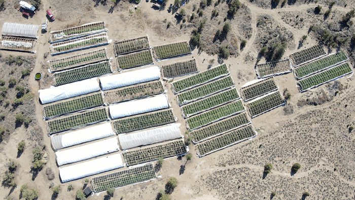 Aerial photo of a marijuana grow in Alfalfa, Ore., Sept. 2, 2021.