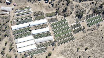 Aerial photo of a marijuana grow in Alfalfa, Ore., Sept. 2, 2021.