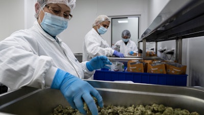 Workers pack medical cannabis at UNIVO Pharmaceuticals, Ashkelon, Israel, Jan. 16, 2022.