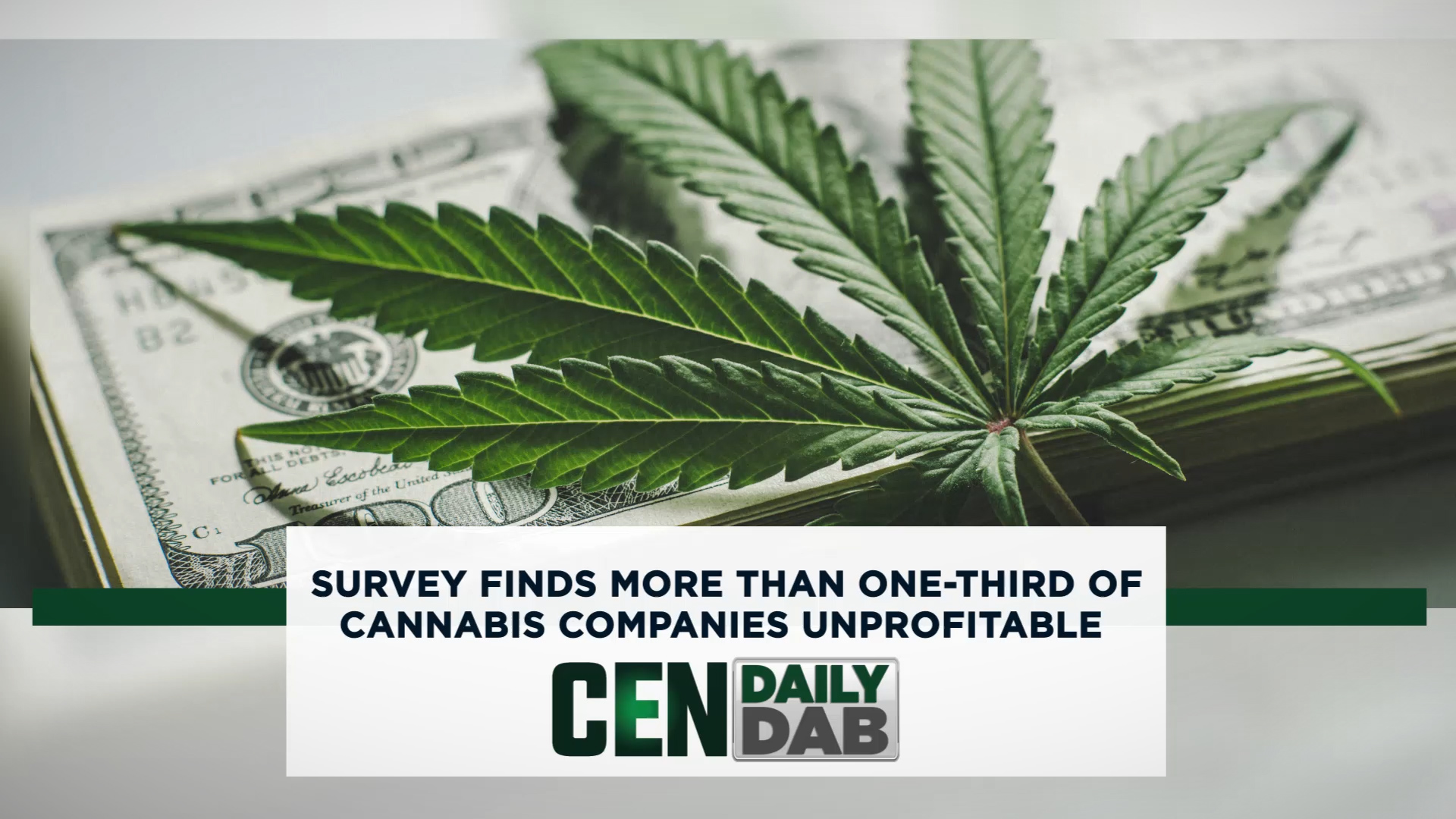 Cannabisprofits