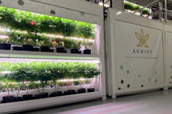 Early cannabis industry KPIs like yield per light and grams per watt do not lend themselves well to making meaningful broad-based comparisons.