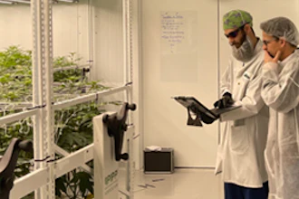Crop Steering With Led Lighting