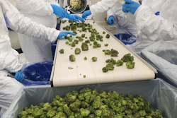 The acquisition includes a premium 20,000 square foot indoor cultivation site in Sintra, Portugal, one of a limited number of fully certified EU GMP sites of its kind in Europe. The facility is designed to produce over two tons of high-THC premium medical cannabis per year.