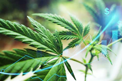 Treez will use the funding for sales growth and to accelerate product innovation.