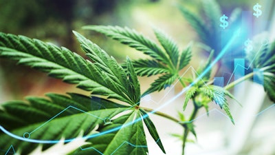Treez will use the funding for sales growth and to accelerate product innovation.