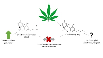 New research indicates compounds derived from marijuana like ∆9-tetrahydrocannabiol (THC) enhance the pain-relieving effects of opioids while THC and cannabidiol (CBD) do not enhance the abuse-related effects of opioids. Ongoing studies are examining the effects of THC and CBD on other problematic aspects of opioid use disorder including withdrawal and relapse. These studies aim to validate marijuana derived compounds as a safe, effective means to treat opioid use disorder.