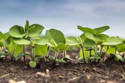 Genistein, found in soy, serves as a neutral cannabinoid receptor