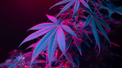 FCGD is currently looking at partnerships in other states.