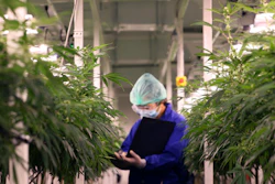 Most recently, Kamp was the Director of the Fresh Produce and Logistics unit of Viscon Group.