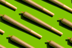 In Massachusetts, 194 marijuana retailers generated a total of $1,331,246,109 in 2021.