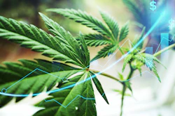 In January, 4Front completed its acquisition of NECC, including its 55,000 square foot cultivation and production facility.