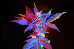 The Department of Justice, the FBI and the Drug Enforcement Administration were dismissed from the lawsuit last month.