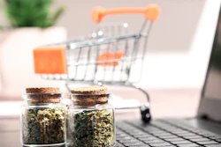 MedMen NY owns and operates four medical cannabis dispensaries.