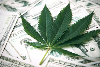 Cannabismoney