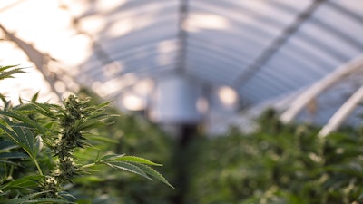 The financial reimbursement stems from the recently completed development of a 152,000-square-foot industrial building for cultivation and processing.
