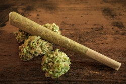 Kelly Natenshon will oversee product strategy, curation and development for Housegoods.