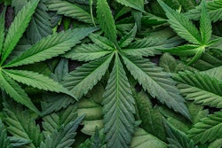 Kavi Bhai, BellRock's Chief Financial Officer, is leaving the company.