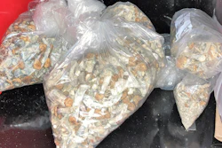 Portland police seized 22.1 pounds of psilocybin, including dried fungus and other edibles.