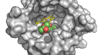 CBD (yellow stick structure) interferes with binding of an opioid (green and red) by stabilizing an opioid receptor (gray) in its inactive form.
